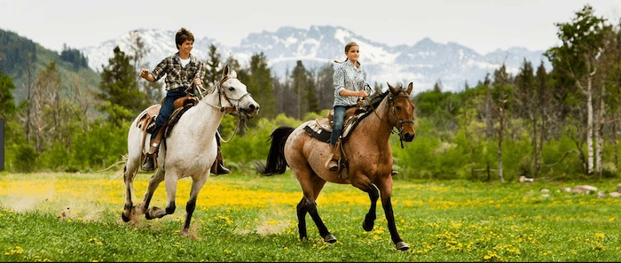 Confident plus-size woman riding Gorgie a horse through a field with a smile on her face.